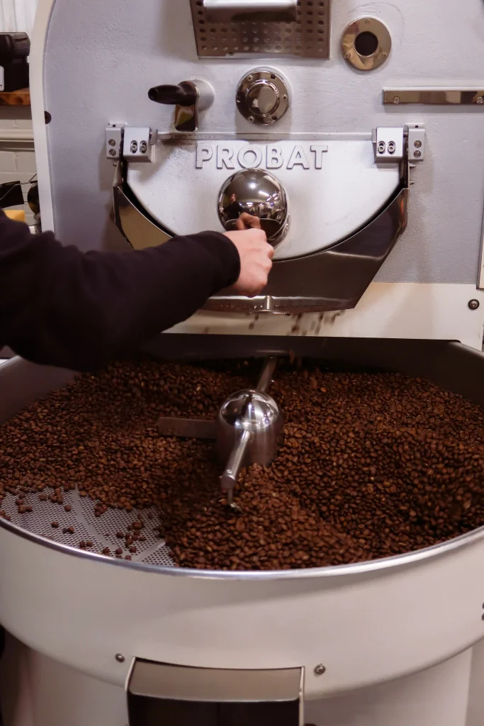 Roasted coffee beans pouring into a cooling tray