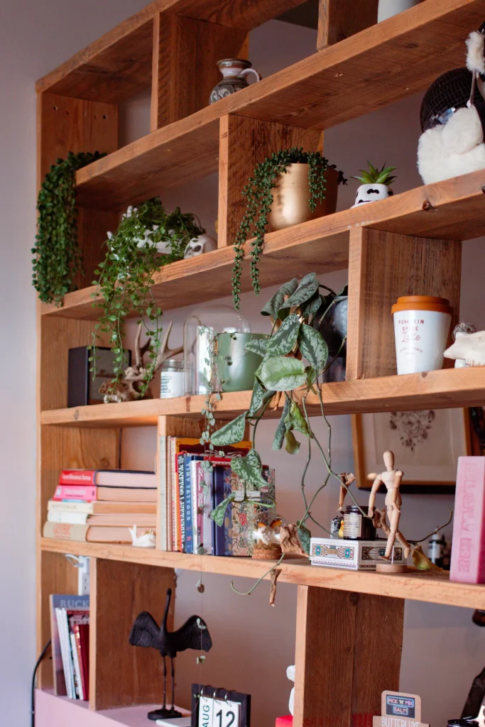 Plants and books on the tattoo studio shelves